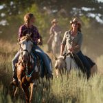 پارک فریاد تا بی نهایت Yell Extreme Park